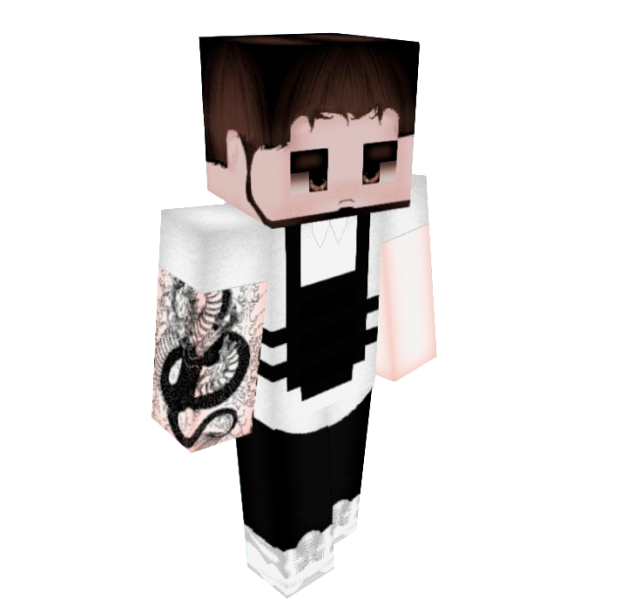 Файл:Skamail skin.png